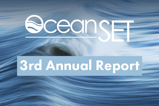 Just released: 3rd annual report